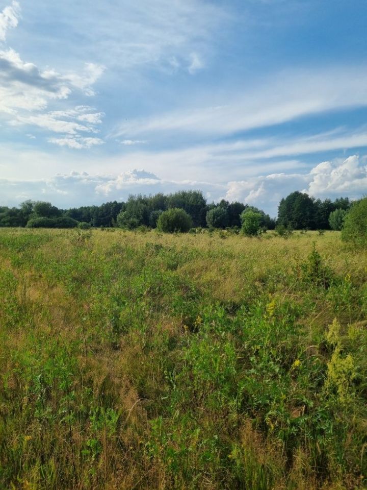 Działka budowlana Wilczkowice Dolne. Zdjęcie 1