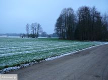 Działka rolno-budowlana Nowe Jastrzębsko. Zdjęcie 2