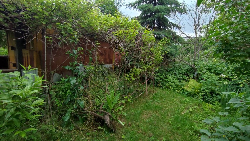 Działka rod Lublin, ul. Działkowa. Zdjęcie 4