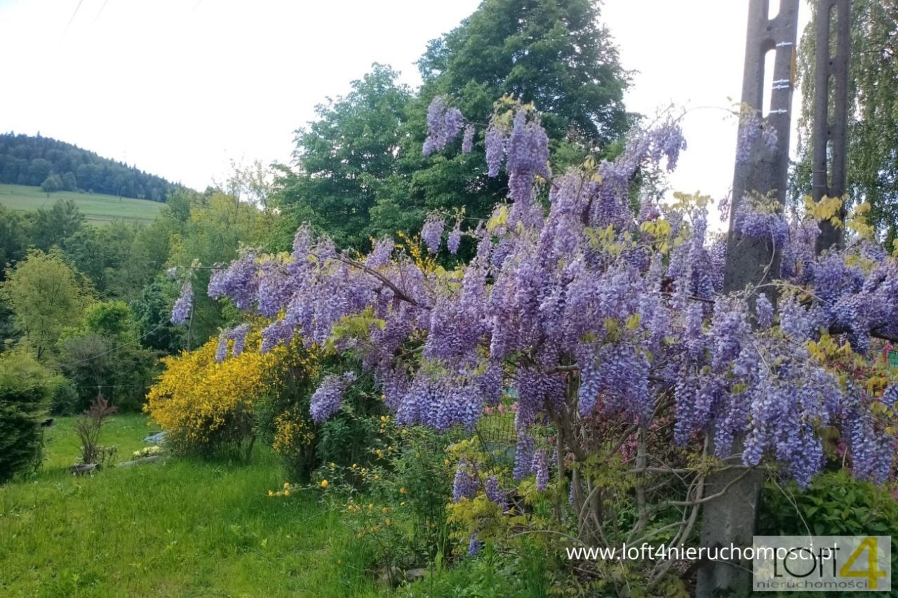 Działka budowlana Rozdziele. Zdjęcie 14