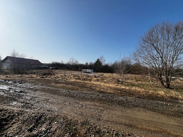 Działka budowlana Patryki. Zdjęcie 3