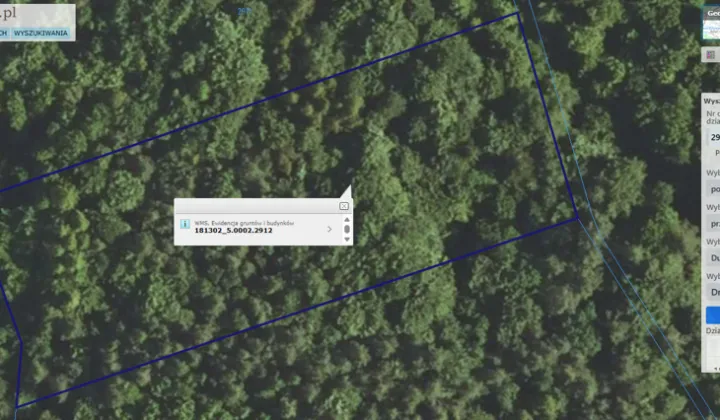 Działka leśna Drohobyczka