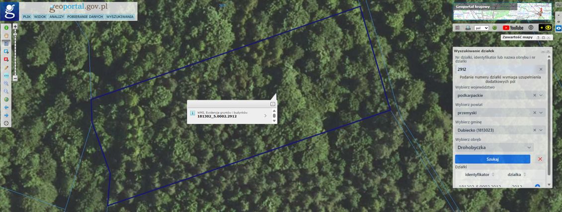 Działka leśna Drohobyczka. Zdjęcie 1