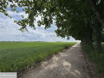 Działka inwestycyjna Kórnik, pl. Browarowy. Zdjęcie 4
