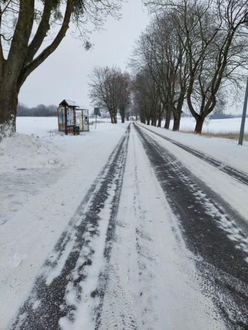 Działka siedliskowa Strzelce. Zdjęcie 8
