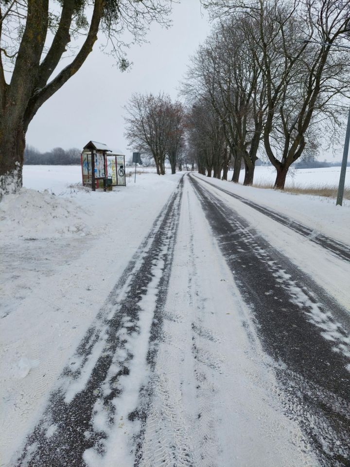 Działka siedliskowa Strzelce, Dulębów. Zdjęcie 8