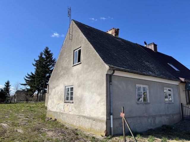 bliźniak Kisielice. Zdjęcie 1