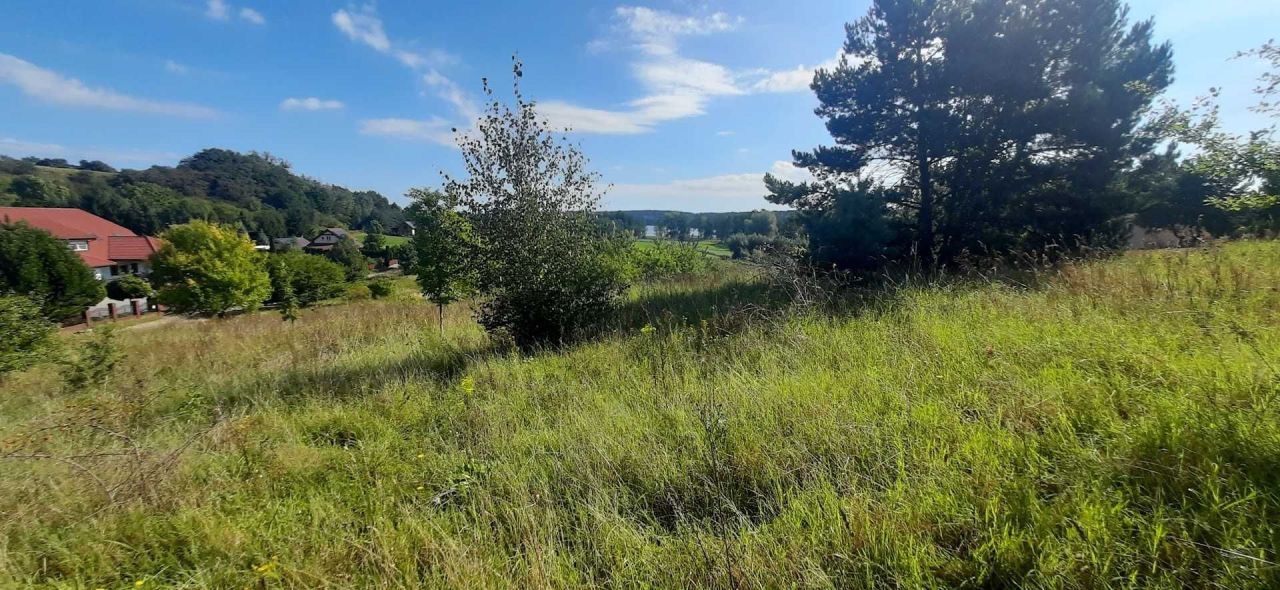 Działka rekreacyjna Łężeczki. Zdjęcie 3