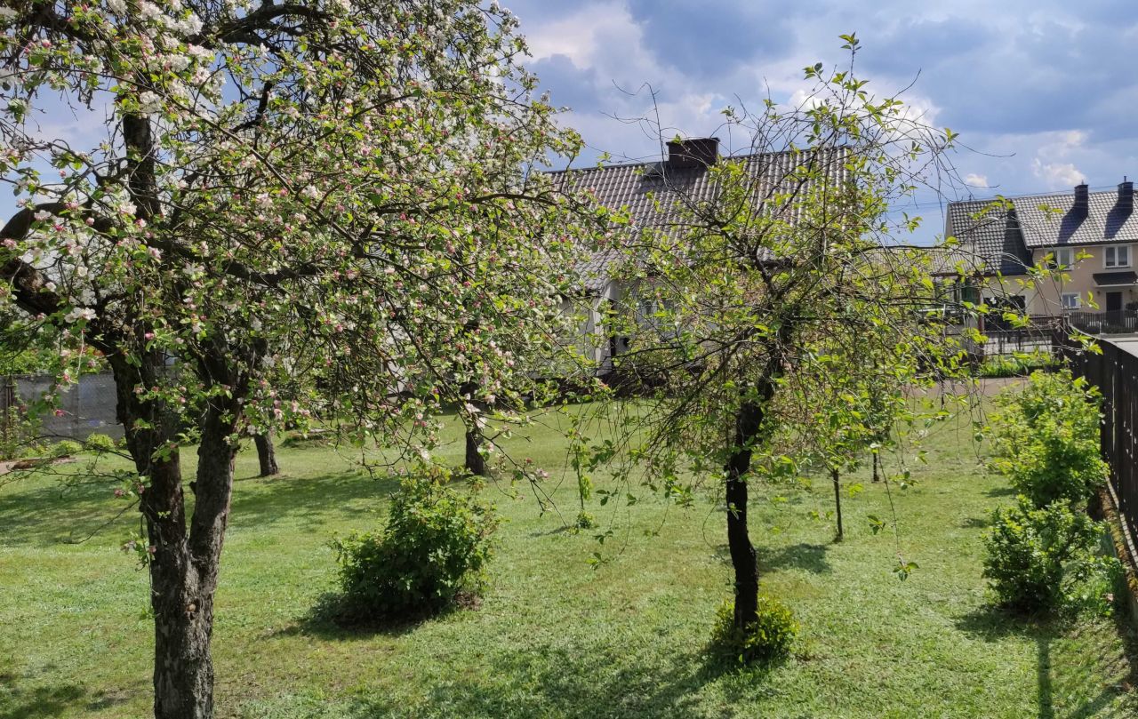 dom wolnostojący, 3 pokoje Łyse. Zdjęcie 4