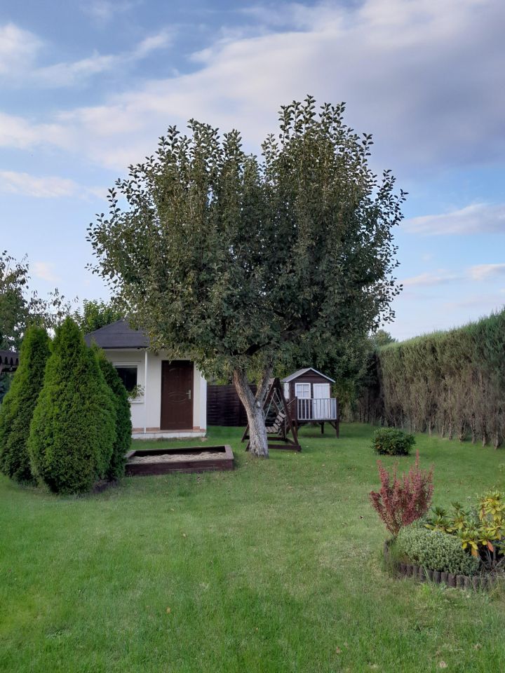 Działka rekreacyjna Bełchatów, Ul. Cegielniana