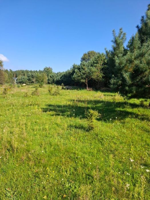 Działka budowlana Bieszkowice, ul. Konny Trakt. Zdjęcie 2