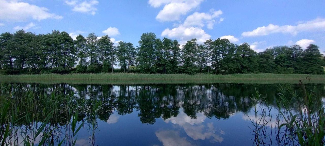 Działka rolno-budowlana Krzęcin. Zdjęcie 6