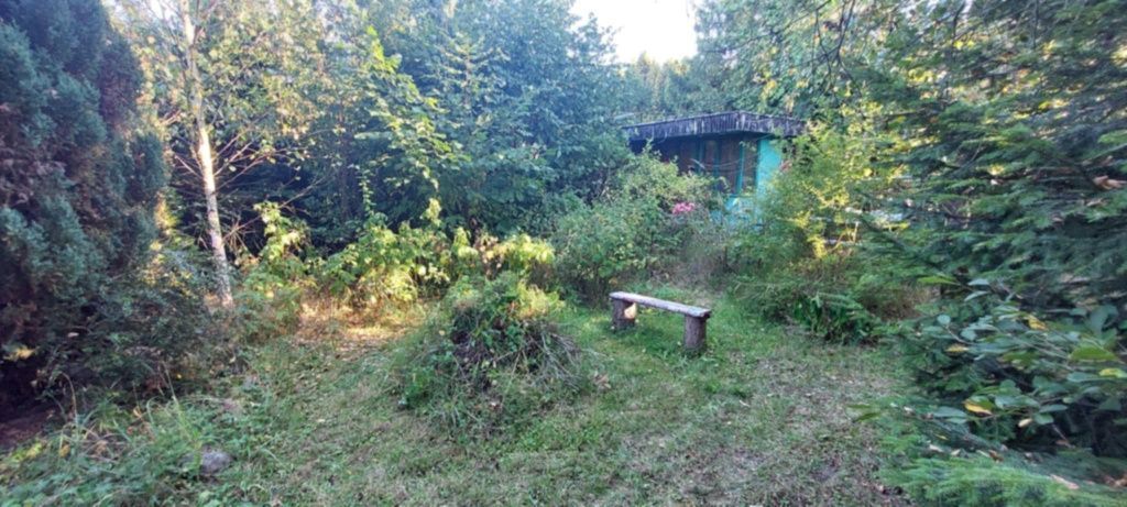 Działka rod Krajowice. Zdjęcie 2