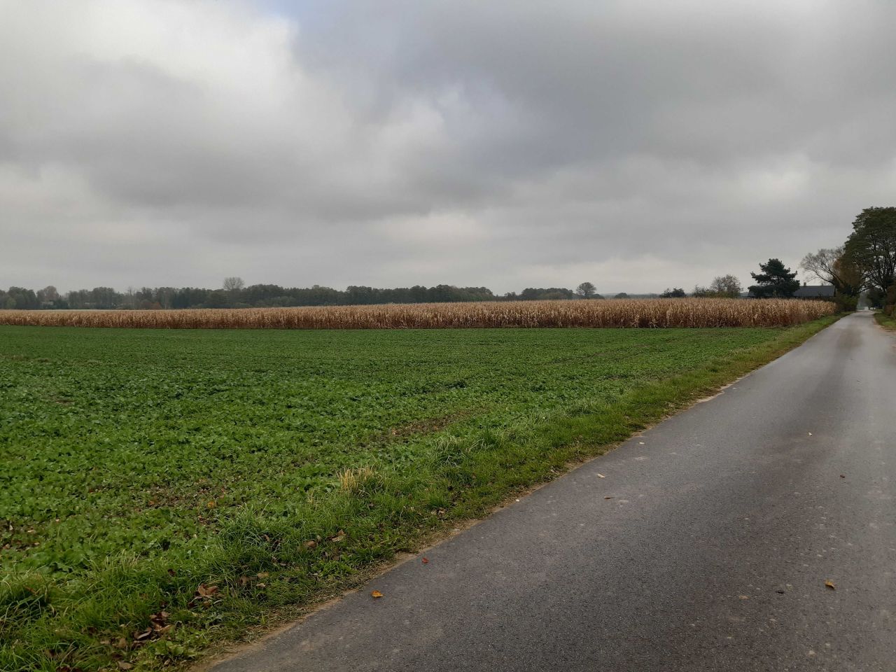 Działka rolno-budowlana Nowy Dwór-Parcela. Zdjęcie 6