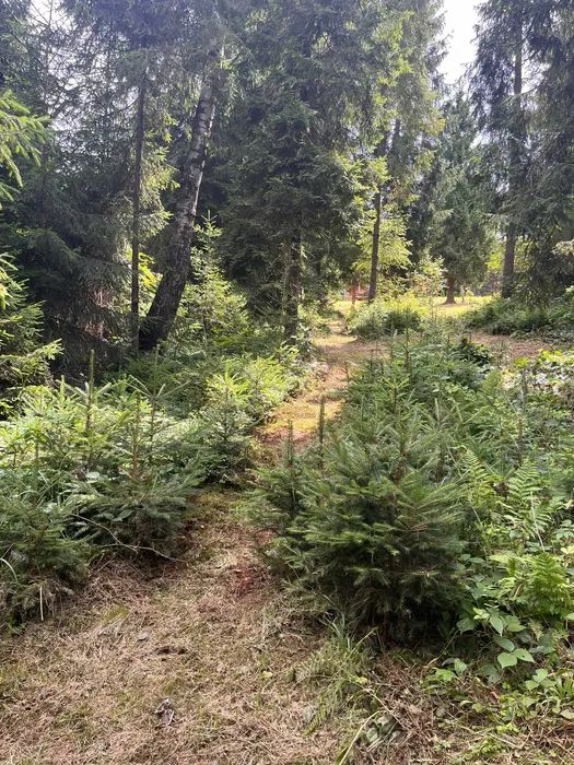 Działka inna Pyzówka, ul. Kolejowa. Zdjęcie 3