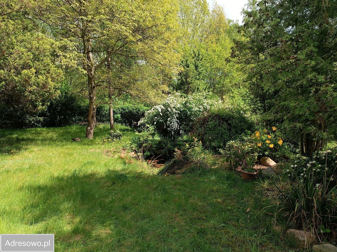 Działka budowlana Skotniki. Zdjęcie 6