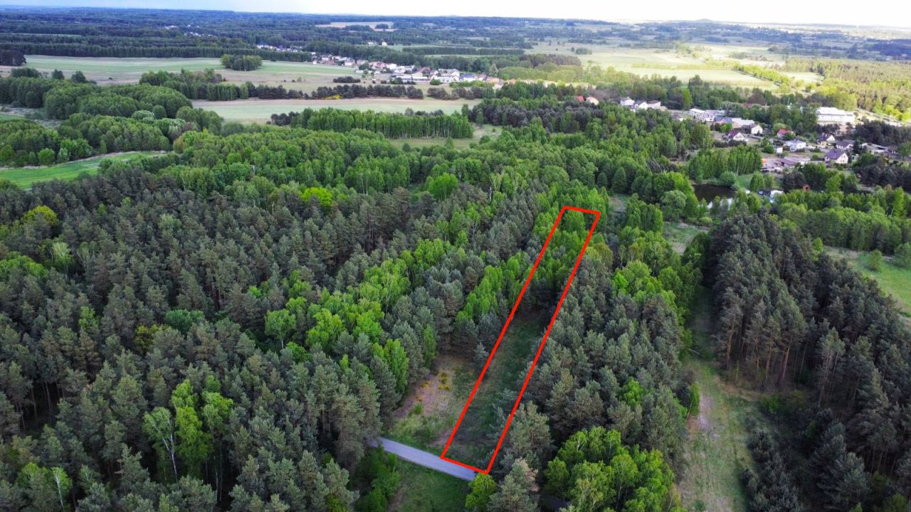 Działka budowlana Panki. Zdjęcie 3