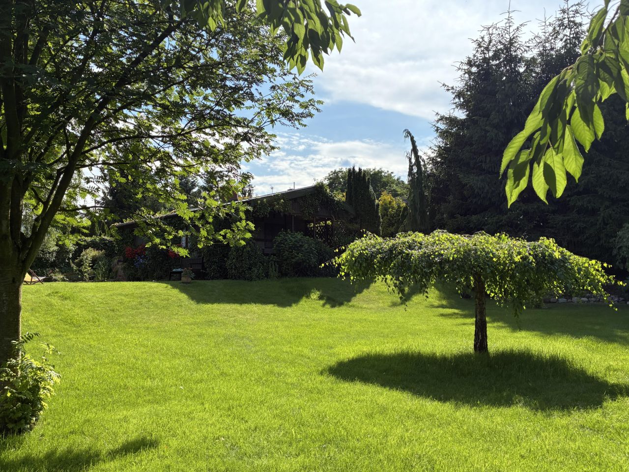 Działka rolno-budowlana Jerzyn. Zdjęcie 10