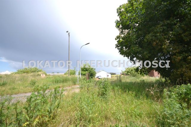 Hala/magazyn Rutwica. Zdjęcie 8