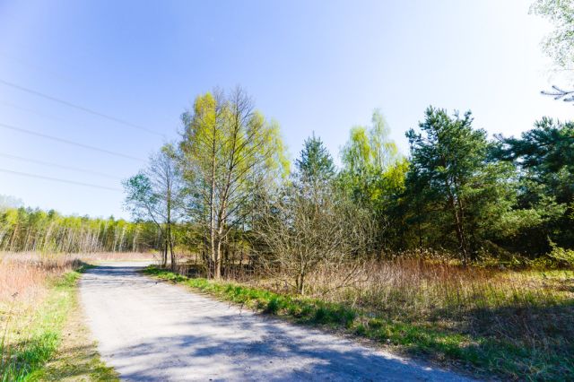 Działka budowlana Michałówek. Zdjęcie 1