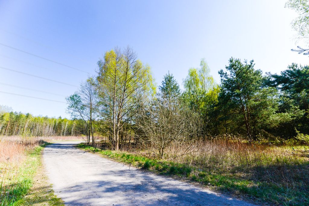 Działka budowlana Michałówek. Zdjęcie 1