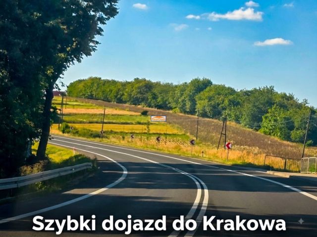 dom wolnostojący, 4 pokoje Biały Kościół, ul. Krakowska. Zdjęcie 5