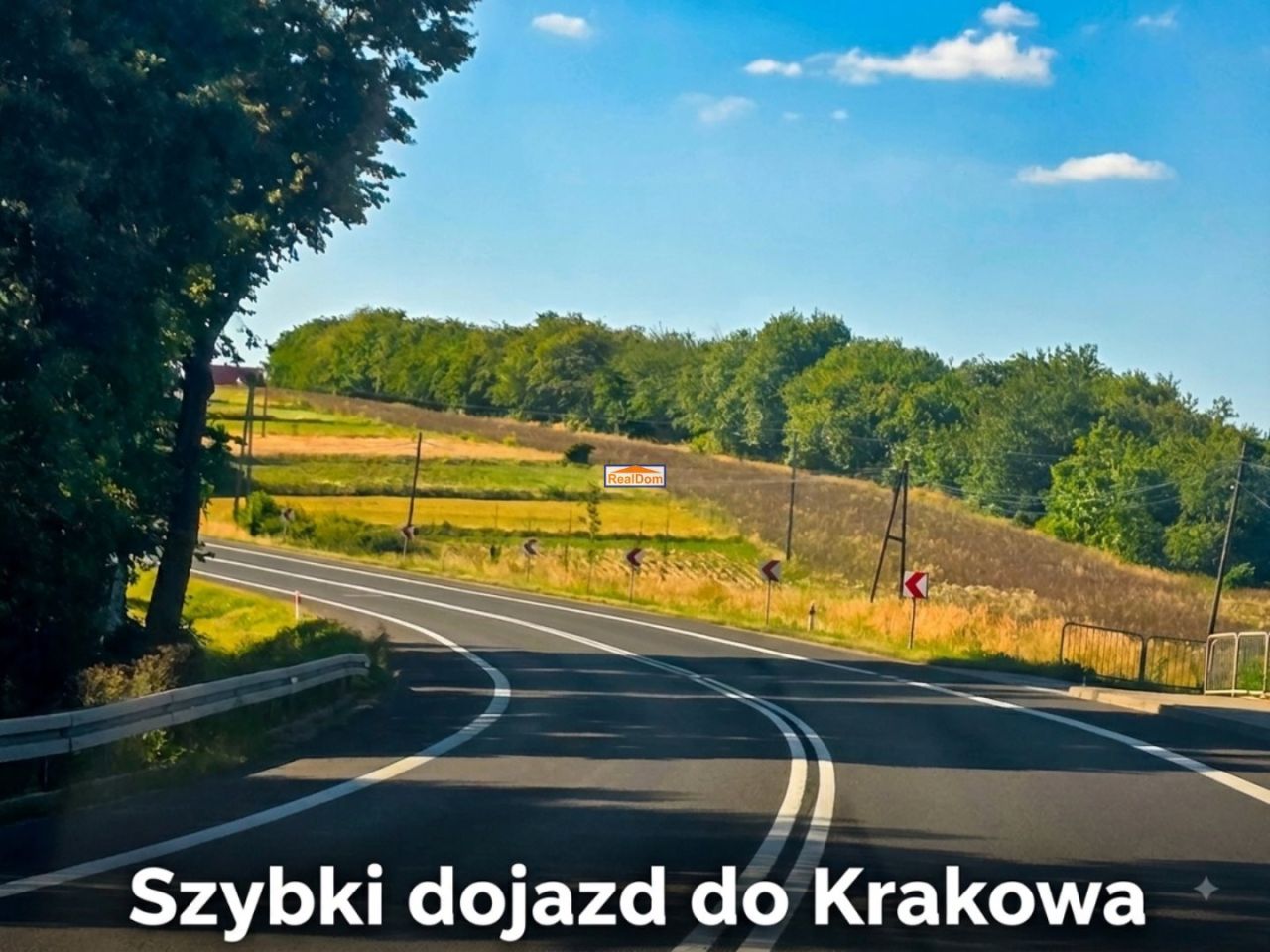 Zdjęcie 5