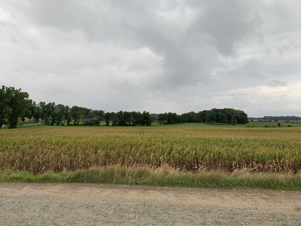 Działka inwestycyjna Kobierzyce. Zdjęcie 5