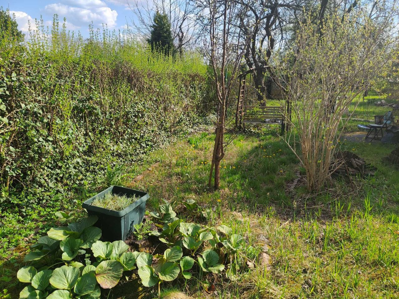 Działka rod Sosnowiec. Zdjęcie 6