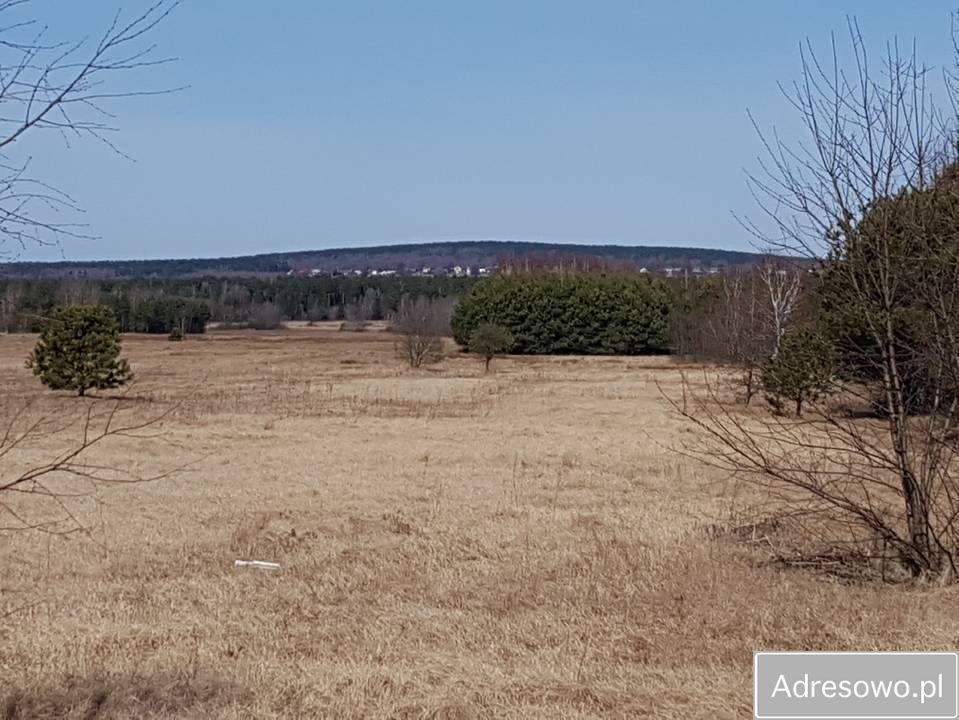 Działka siedliskowa Zaborowice. Zdjęcie 12
