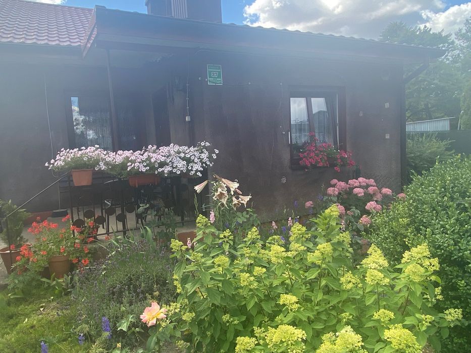 dom wolnostojący, 4 pokoje Cieślin. Zdjęcie 2