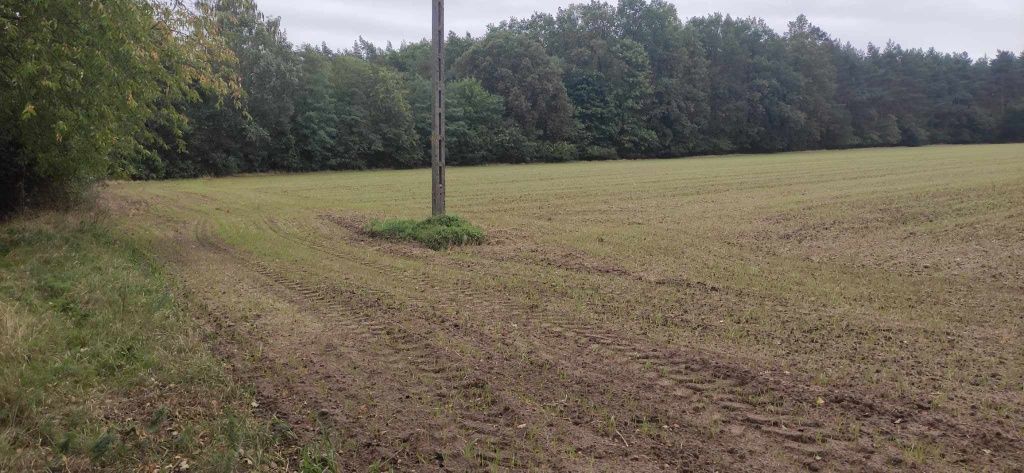 Działka budowlana Brzeg. Zdjęcie 4