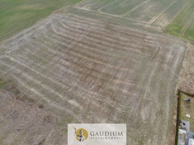 Działka Lubiszewo Tczewskie. Zdjęcie 12