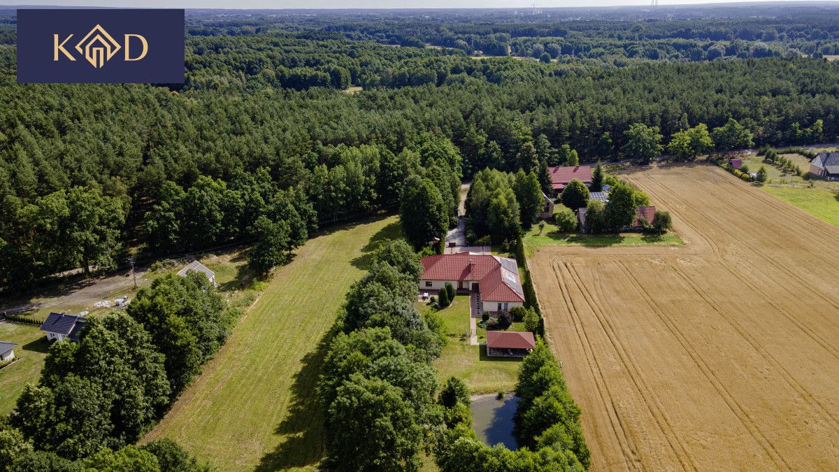dom wolnostojący, 7 pokoi Jastrzębsko Stare, ul. Dworcowa. Zdjęcie 6