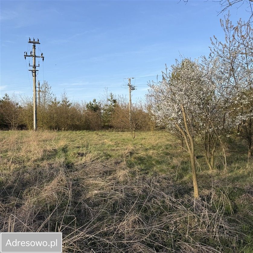 Działka budowlana Balczewo. Zdjęcie 5