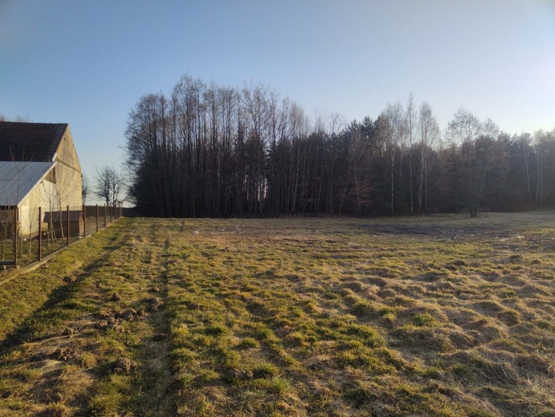Działka budowlana Piwoda. Zdjęcie 5