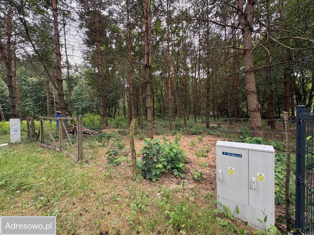 Działka budowlana Wężyk. Zdjęcie 7