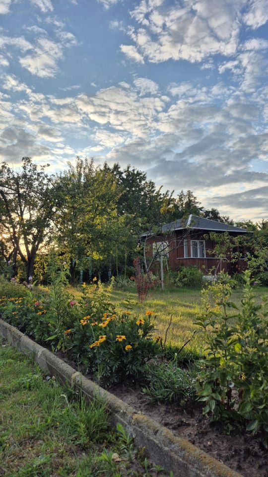 Działka rod Świdnik, ul. Lotnicza. Zdjęcie 6