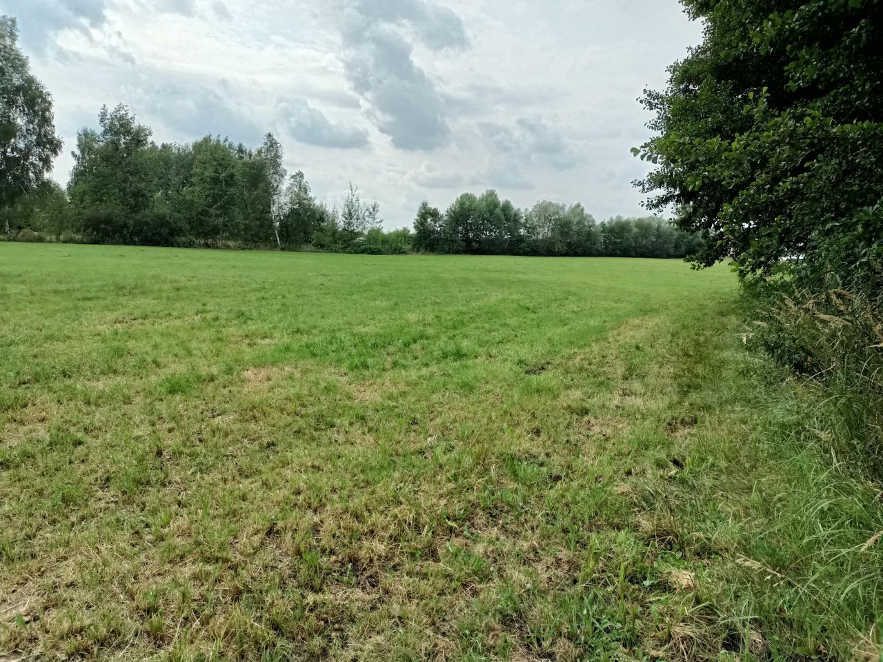 Działka rolno-budowlana Ogorzelczyn. Zdjęcie 7