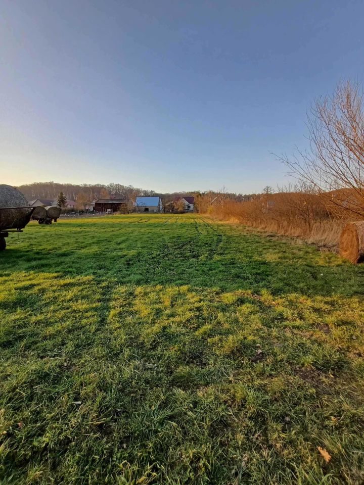 Działka rolno-budowlana Dąbroszyn. Zdjęcie 6