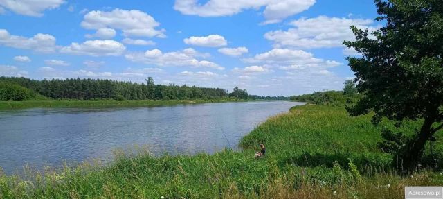 Działka rekreacyjna Długie Grodzieckie. Zdjęcie 1