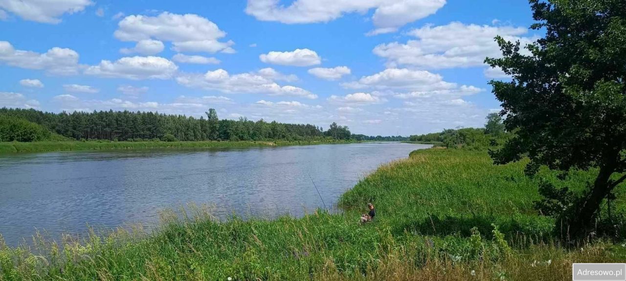 Działka rekreacyjna Długie Grodzieckie. Zdjęcie 1