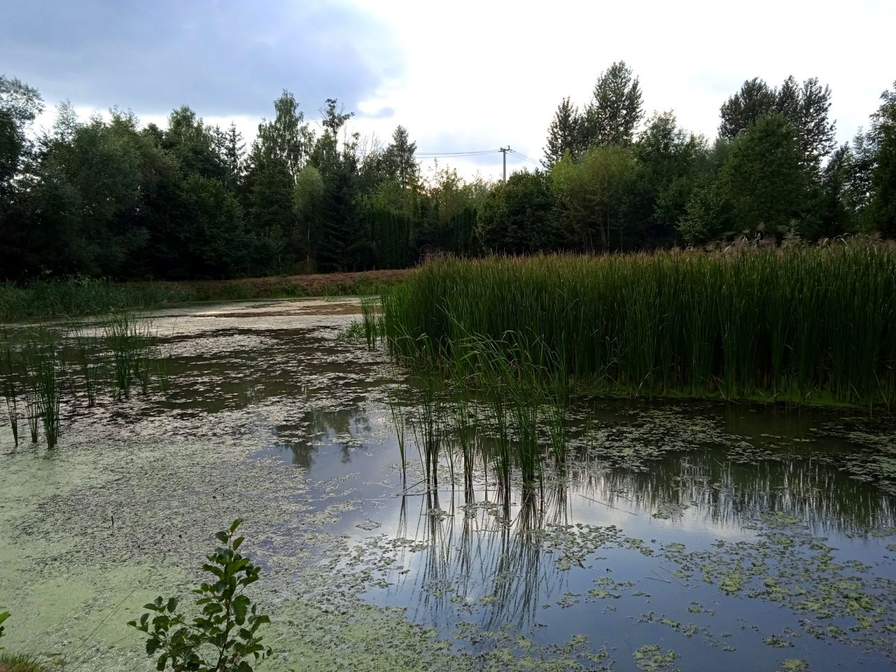 Działka rekreacyjna Pierzchów. Zdjęcie 3