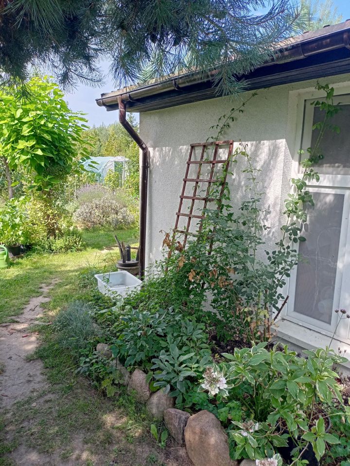 Działka rekreacyjna Wrocław Bierdzany, ul. Nizinna. Zdjęcie 13