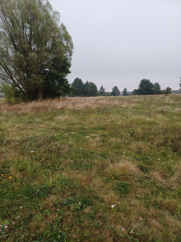 Działka rolna Miastków Kościelny, Górna. Zdjęcie 3