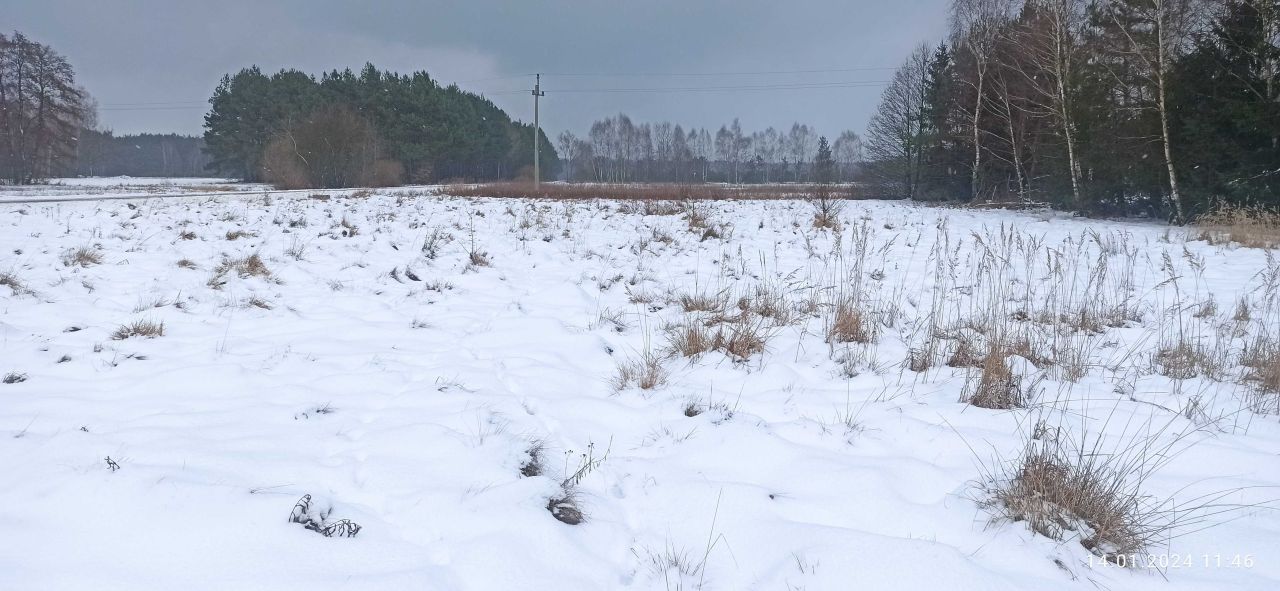 Działka rolno-budowlana Zaróg. Zdjęcie 7