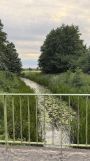 Działka budowlana Zielona Góra Krępa, ul. Odrzańska. Zdjęcie 4
