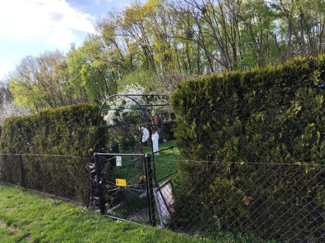 Działka rod Tarnowskie Góry Lasowice, ul. gen. Władysława Andersa. Zdjęcie 1