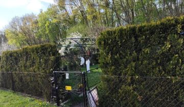 Działka rekreacyjna Tarnowskie Góry Lasowice