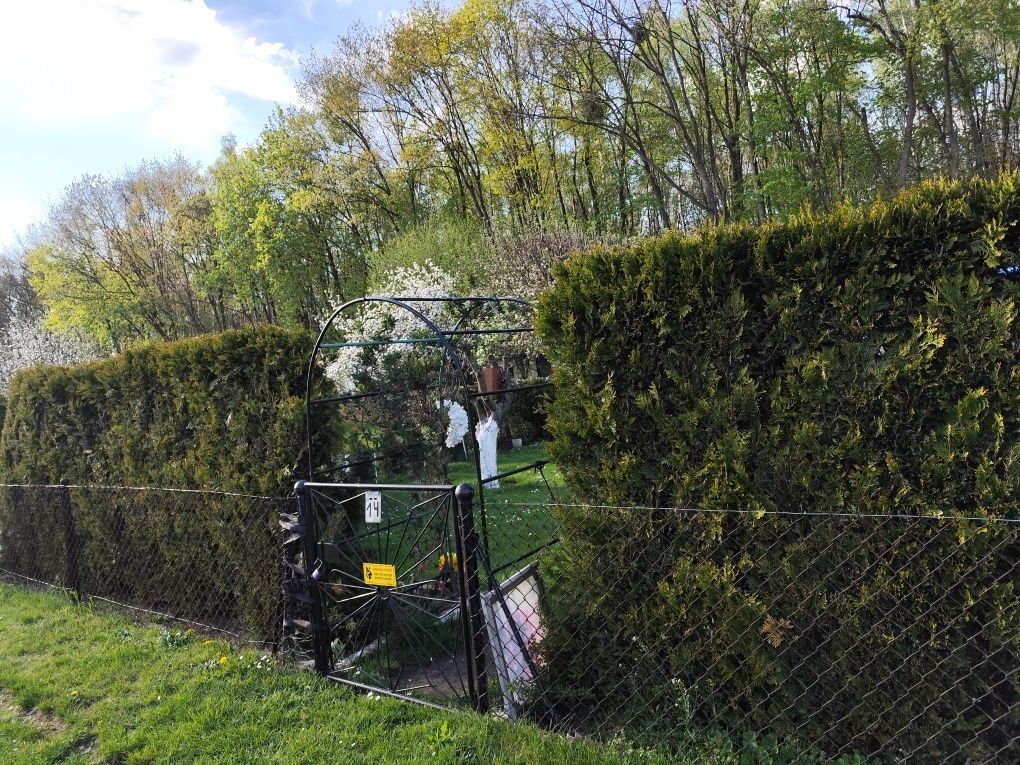 Działka rod Tarnowskie Góry Lasowice, ul. gen. Władysława Andersa